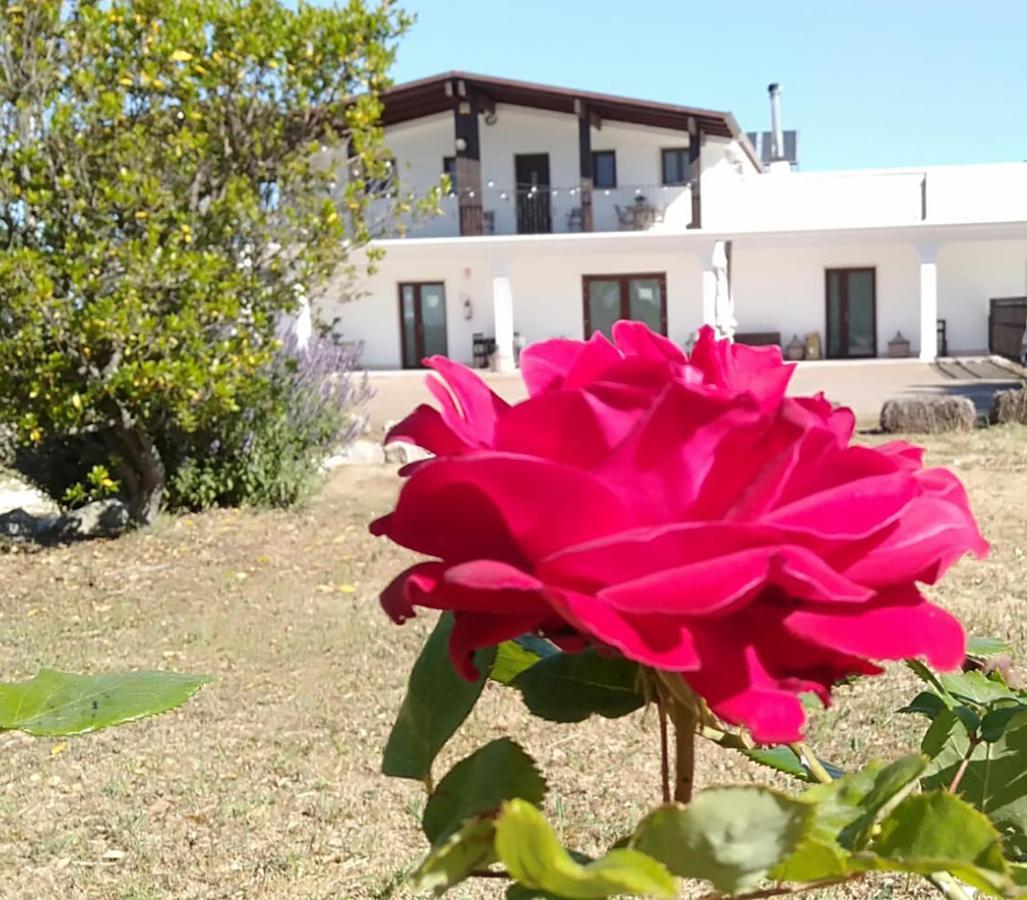 Supramurgia Agribistrot Cassano delle Murge Buitenkant foto
